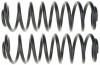 Moog 99-04 Volkswagen Golf 2.0L / 00-05 Volkswagen Jetta 2.0L Rear Coil Spring Set - 81055 Photo - Primary