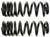 MOOG 99-14 Ford E-350 Super Duty Front Coil Springs - CC81366 Photo - Primary