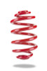 Pedders 04-06 Pontiac GTO X-Drag Rear Coil Spring - PED-7843