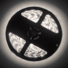 Oracle Exterior Black Flex LED Spool - RGB ColorSHIFT - 4223-333