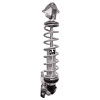QA1 78-96 GM B-Body Pro Rear Coil-Over System - Double Adj. - 12in x 250lbs/in - Aluminum - RCK52380