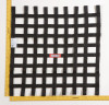 RaceQuip Black 24 X 24 SFI Ribbon Net - 726009