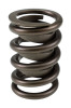 COMP Cams Valve Springs 1.440in OD - 26942-12 Photo - Close Up