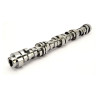 COMP Cams Camshaft GM Gen V LT1 Ltav 26 - 624-512-13