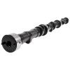 COMP Cams Camshaft A6 X4 250H-11 - 68-231-4