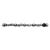 Edelbrock Camshaft Rollin Thunder 57-86 SBC V8 242-Deg /240-Deg Duration 594In/ 594In Lift - 2231