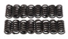 Edelbrock Valve Springs E-Street Heads Set of 16 - 5824