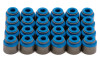 GSC P-D 2023+ Nissan 400Z VR30DDTT Valve Stem Seal - Set of 24 - 1056