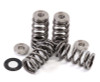 GSC P-D 2017+ Audi RS3 DAZA Beehive Valve Spring and Ti Retainer Kit (60PSI Max Boost) - 5096