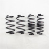 RS-R 15+ VW Golf GTI FF 2000TB (AUCHH) Ti2000 Down Springs - W015TD Photo - Primary