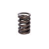 COMP Cams Valve Spring 1.480in Outer W/D - 901-1