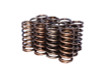 COMP Cams Valve Springs 0.940in Inner B - 974-12
