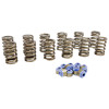 COMP Cams 88-06 Jeep 4.0L .450in Lift Valve Springs Kit - 983J-KIT