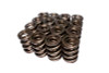 COMP Cams Valve Springs 1.625in CHR/Sil - 991-16