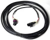Ridetech 12in Ride Height Sensor Cable For RPX & E5 Control System & Hadley Sensor - 31900065 Photo - Primary
