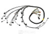 Rywire 02-04 K-Series RWD Mil-Spec Eng Harn w/02-04 Wiring/K-Pro/S2K Tran/K-Ser TB/Int (Adapter Req) - RY-K2-RWD
