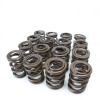Skunk2 Tuner Series Honda/Acura (B16A/ B17A/ B18C) DOHC VTEC Alpha Valve Spring Set (Dual Springs) - 311-05-1350
