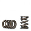 Skunk2 Tuner Series Honda/Acura (B16A/ B17A/ B18C) DOHC VTEC Alpha Valve Spring Set (Dual Springs) - 311-05-1350