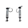 Skyjacker Coil Over Shock Absorber 2009-2013 Ford F-150 4 Wheel Drive - F962LS Photo - Primary