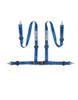 Sparco Belt 2 Inch Blue 4Pt Snap-In - 04604BM1AZ