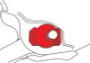 SPC Performance FORD ADJ CAM NUT/BRACKET - 86250