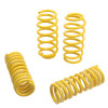 ST Sport-tech Lowering Springs Chrysler 300C 2WD / Dodge Charger Magnum - 65503