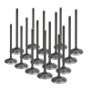 Supertech BMW S65/S85 35.4x4.97x111.75mm Black Nitrided Intake Valve - Set of 16 - BMIVN-1065-16