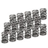 Supertech VW VR6 Dual Valve Spring - Set of 16 - SPR-V2093-4-16