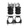Timbren 2015 Ford F-150 RWD Rear Suspension Enhancement System - FR1504E