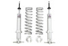 UMI Performance 93-02 GM F-Body Viking Front Coil Over Kit Double Adjustable- Bearing - A226-275 Photo - Primary