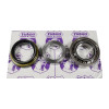 Yukon Gear M220 Rear Axle Bearing and Seal Kit - AK R-J01