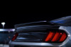 Anderson Composites 15-17 Ford Mustang Type-ST Double Sided Decklid