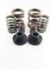 DDP 94-98 Dodge Cummins 5.9L 12V P-Pump 3000 & 4000 RPM Governor Spring Kit - DDP 34KGSK