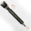 DDP Dodge Cummins 4BT VE Pump Injector Set - Stage 3 - DDP 4BTVE-3