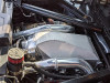 MightyMouse Wild Catch Can Kit - C8 Corvette