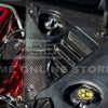 EOS Engine Bay Panel Cover - Carbon Fiber - C8 Corvette (VENT-345-BKCF)