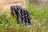 DV8 Offroad DV8 Xtract Mini Traction Board | Pair | Black - RTB2-02BK Photo - out of package