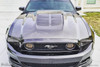 2013-2014 Ford Mustang / 2010-2014 Mustang GT500 Carbon Creations GT500 V2 Hood - 1 Piece / Vehicle Year Make Model Trim - 2013-2014-Ford Mustang ALL / Product Type - Hood / Style Name -GT500 V2 / Kit Material - Carbon Fiber / Notes - Note: Hood pins are required.