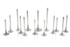 Ferrea Competition Plus Super Alloy Exhaust Valves - LT1 / LT4