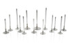 Ferrea Solid Exhaust Valves for Forced Induction - Set of 8 - LS7