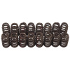 Edelbrock Chevy LS V8 Sure Seat Valve Springs - 5768 Photo - Primary