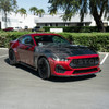 EOS Carbon Fiber Hood Super Snake Style - 2024+ Ford Mustang (HOOD-1466-BKCF)