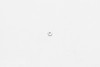 Wilwood nut 10-32 hex jam clear zinc - 230-12455 Photo - Primary