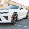 EOS Extended Splash Guards - Front & Rear - Gen 6 Camaro