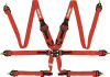 RaceQuip Red FIA CAMLOCK 6pt 2in Pull Down Lap FHR - 855015RQP Photo - Primary