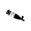 Bilstein B4 07-15 Audi Q7 Rear Left Air Suspension Spring with Twintube Shock Absorber - 45-240973