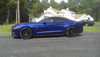 BMR Lowering Springs - Rear Set of 2 - Performance Version - S550 / S650 Mustang