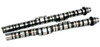 BLOX Racing Type-B Street/Strip Camshafts for K20A2 - BXCM-10201 Photo - Primary