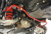 BMR Poly Diff Bushing Kit - S550 / S650 Mustang