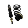 BLOX Racing 06-11 Honda Civic Plus Series Fully Adjustable Coilovers - BXSS-00115